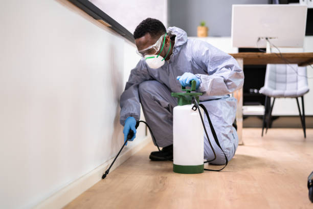 Best Pest Prevention Services  in Safford, AZ